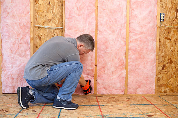 Best Eco-Friendly Insulation in Hopkinsville, KY